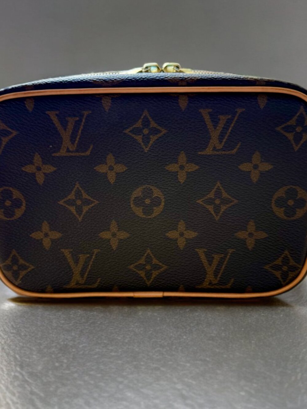 Louis Vuitton Monogram Canvas Nice Mini Vanity Toiletry Pouch - Picture 8 of 16